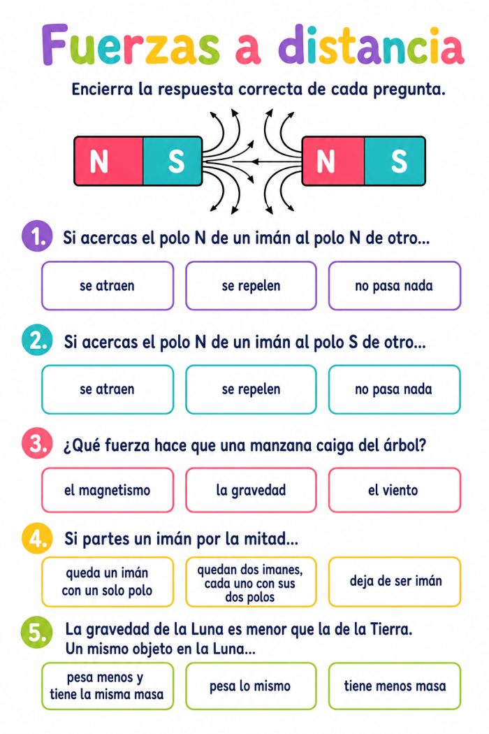 Efecto del magnetismo y de la fuerza de gravedad