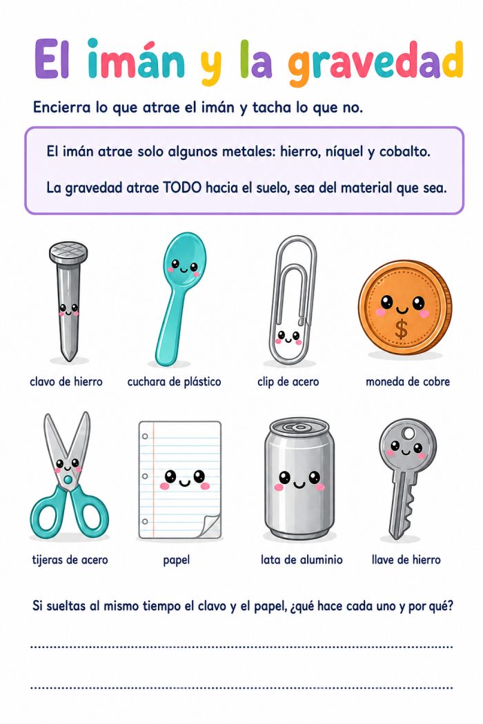 Efecto del magnetismo y de la fuerza de gravedad